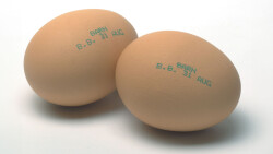 Inkjet printing on eggshell