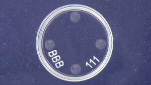 Plexiglas Bemusterung Laserlabor