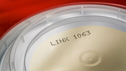 Fettdurchdringende Tinte 1063 auf Lebensmittelverpackung